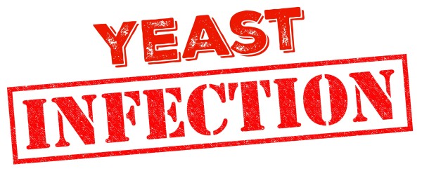 Yeast Infection image for humorous spider story