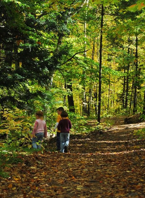 Things to do with the family in the fall