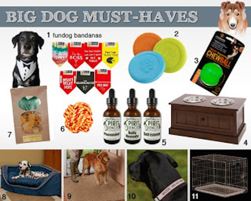 big dogs must haves