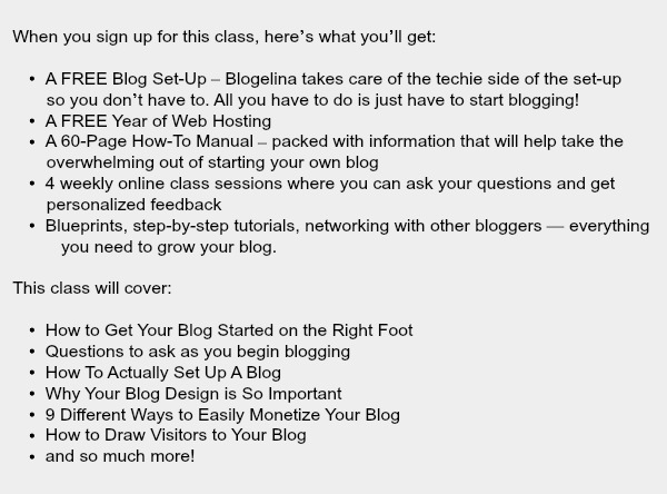 Blogelina Profitable Blogging for Beginners class