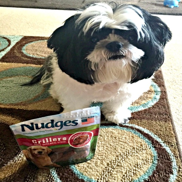 Dog treats at an affordable price with Nudges Dog Treats