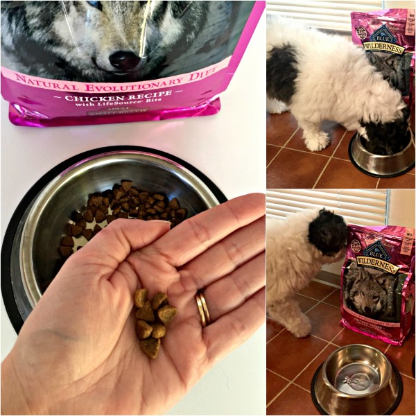 Feed your pets like family Blue Wilderness dog food and treats from PetSmart #BestofBlue