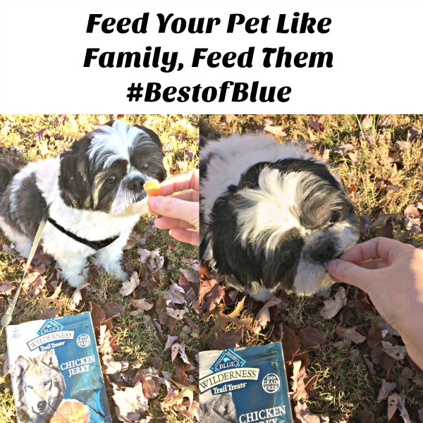 Feed your pets like family Blue Wilderness dog food and treats from PetSmart #BestofBlue