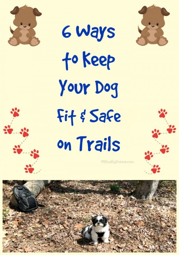 6 ways to keep your dog fit and safe on trails #RememberBeyond