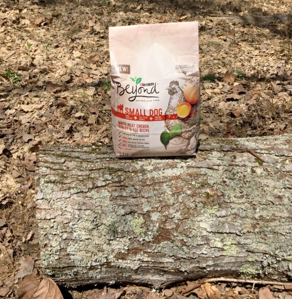 Ways to keep your dog fit and safe on trails. Feed your dog good for them dry dog food like Purina Beyond Small Dog Essentials. #RememberBeyond