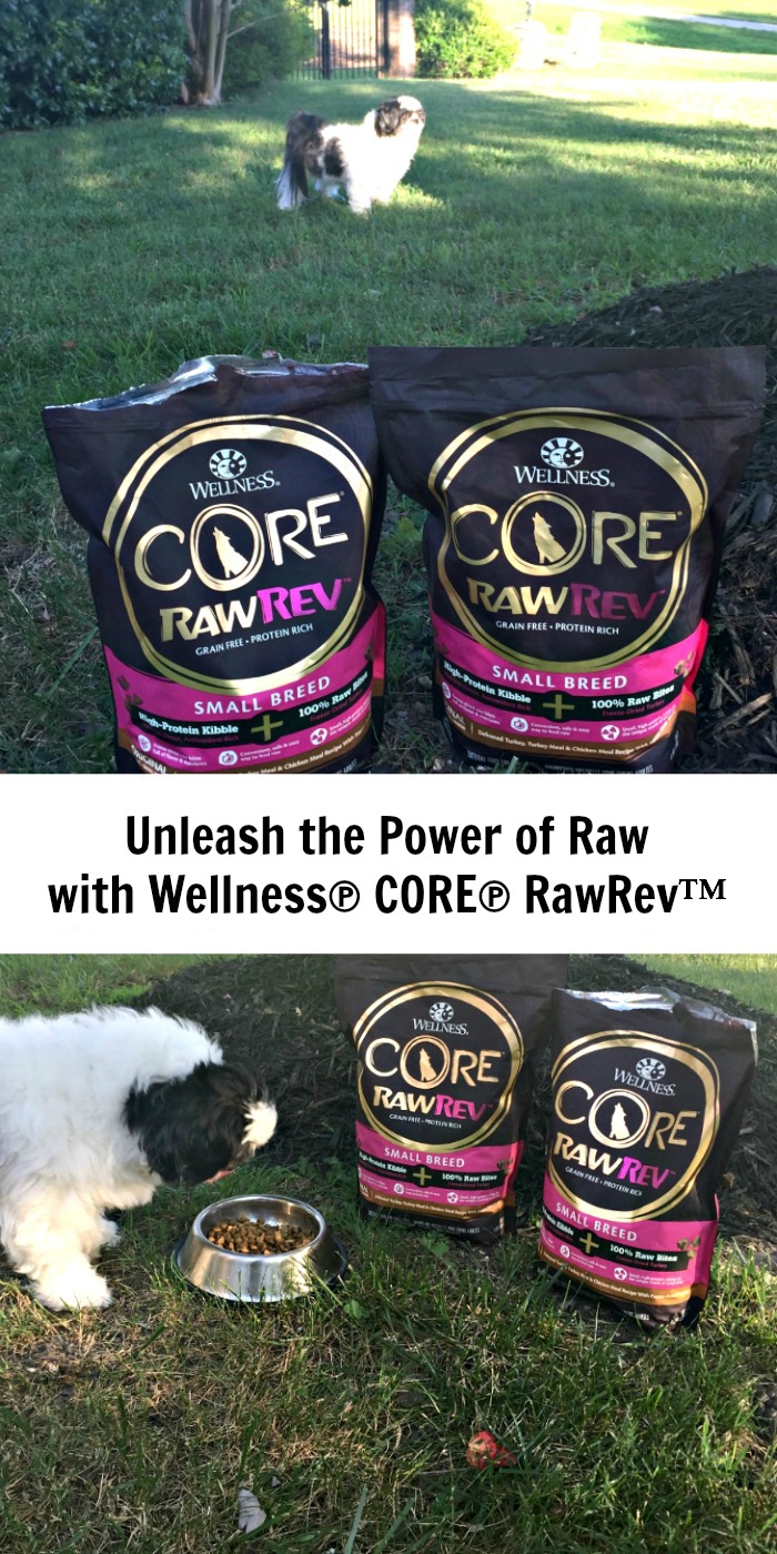 Unleash the power of raw with Wellness Core RawRev from PetSmart