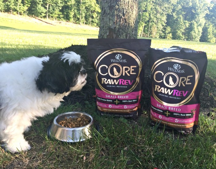 Release the power of raw with Wellness Core RawRev from PetSmart
