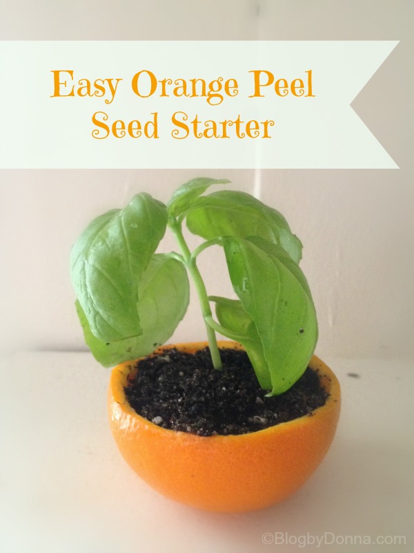 Easy DIY Orange Peel Seed Starter