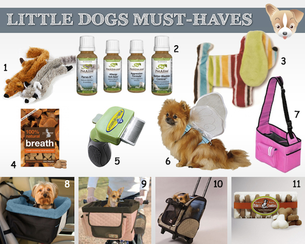 small dog must haves