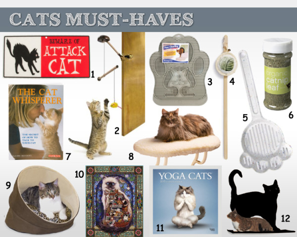 Cat Must Have Gift Ideas #NudgeThemBack