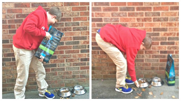 Cody helping neighbors BeMyNeighbor Collage #BeMyNeighbor