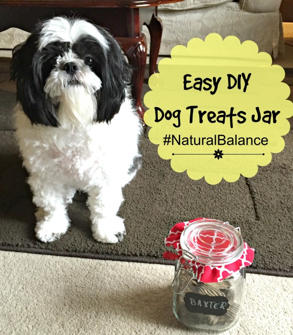 DIY Treat Jar Natural Balance healthy dog treats #NaturalBalance