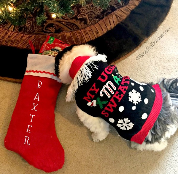 dog stocking
