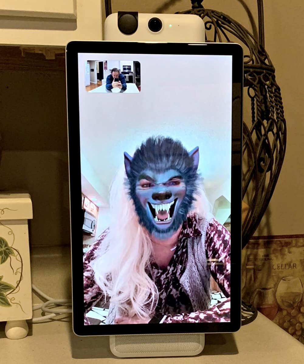 Facebook Portal Filter Werewolf connecting
